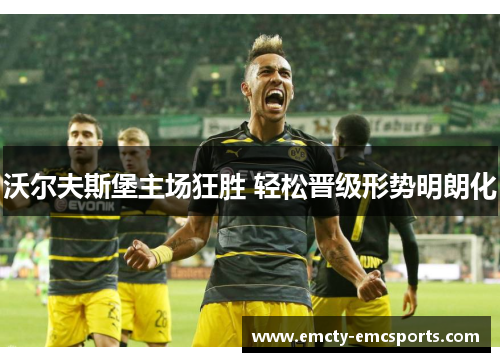 沃尔夫斯堡主场狂胜 轻松晋级形势明朗化