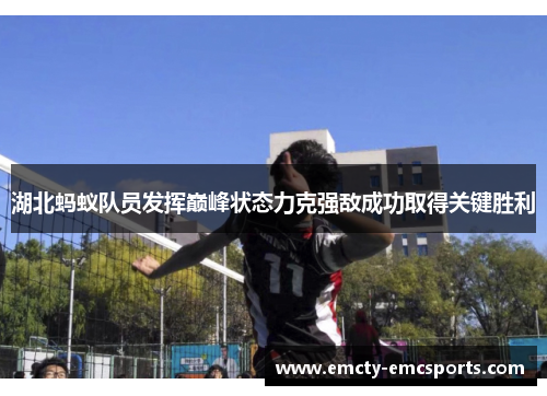 湖北蚂蚁队员发挥巅峰状态力克强敌成功取得关键胜利